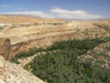 Algeria / Algerie - Gorges de Tighanimine - El Abiod - Batna wilaya -  Massif des Aurs: oasis - photo by J.Kaman