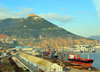 Oran - Algrie: le port - Bassin d'Arzew - le navire cargo Arctic Stream avec la montagne Djebel Murdjadjo en fond - photo par M.Torres