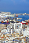 Algiers / Alger - Algeria: apartment blocks of the southern part of the city and the port | partie sud de la ville et le port - photo by M.Torres