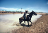 Cattle Station (NT): stockmen move a herd (photo by  Picture Tasmania/Steve Lovegrove)