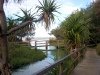 Australia - Fraser Island (Queensland):  Eli Creek - photo by Luca Dal Bo