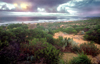 Australia - Waitpinga, South Australia: coast - photo by G.Scheer