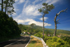 Azores / Aores - Pico - along the coast - estrada costeira - photo by A.Dnieprowsky