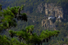 Bhutan, Paro: View of Dzong from the road to Cheli La pass - photo by J.Pemberton