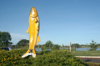 Brazil / Brasil - Dourados: trout - Marcelino Pires avenue / truta (photo by Marta Alves)