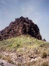 Canary Islands - La Gomera - Parque Nacional de Garajonay - photo by M.Torres