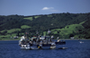 Dalcahue, Chilo island, Los Lagos Region, Chile: fishing boats and a view of Quinchao Island - a great part of the local food comes from the sea - photo by C.Lovell