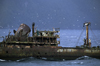 Corcovado Gulf, Los Lagos Region, Chile: wreck  half sunken ship and flying terns, en route from Puerto Montt to Puerto Natales - Patagonia - photo by C.Lovell