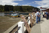 Puerto Montt, Llanquihue Province, Los Lagos Region, Chile: photographic art on display at the Fishing harbour - Angelm - photo by D.Smith