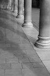 Croatia - Dubrovnik: columns - Sponza palace - photo by J.Banks