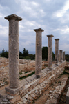 Kourion - Limassol district, Cyprus: in the sanctuary of Apollo Hylates - photo by A.Ferrari