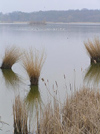 Czech Republic - Lednice: ponds in Lednice park -  Lednice-Valtice Cultural Landscape - Unesco world heritage site- photo by J.Kaman