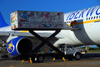 Punta Cana, Dominican Republic: Iberworld Airbus A330-322 EC-IJH - catering vehicle lifting its cargo - Caribbean Catering Services - Punta Cana International Airport - PUJ / MDPC - photo by M.Torres