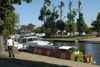 England (UK) - Ely (Cambridgeshire): river boats - River Great Ouse - photo by F.Hoskin