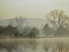 England (UK) - Henley-on-Thames (Oxfordshire): River Thames - photo by T.Marshall