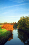 Warrington, Cheshire, England, UK: Sankey Valley Park and Sankey Brook - photo by D.Jackson