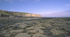 Robin Hood's Bay, North Yorkshire, England: low tide - photo by D.Jackson