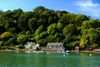 Dittisham, Devon, England: banks of the tidal River Dart, a 'ria' - photo by T.Marshall