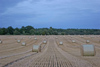 Estonia - outside Tartu / TAY (Tartumaa province): fields by the road to Tallin - hay bales - harvest - photo by A.Dnieprowsky