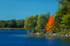 Finland - Hmeenlinna / Tavastehus, Aulanko natural reserve and park - Southern Finland province - Tavastia Proper region, Finnish national landscape - trees by the lake - photo by Juha Sompinmki