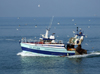 Le Havre, Seine-Maritime, Haute-Normandie, France: small fishing boat and seagulls - photo by A.Bartel