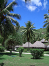 French Polynesia - Moorea / MOZ (Society islands, iles du vent): bungalow over the beach - photo by R.Ziff