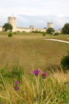 Gotland island - Visby: fields and town walls / flten och stad muren - photo by C.Schmidt