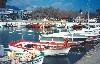 Greece - Krathio (Peloponnese): fishing port (photo by Miguel Torres)