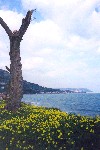 Greece - Derveni (Peloponnese): view from the coastal road (photo by Miguel Torres)