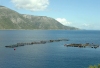 Greek islands - Cephalonia / Kefalonia / Kafallinia / EFL: a fish farm  - photo by G.Frysinger