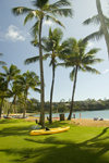 10 Hawaii - Kauai Island: Nawiliwili Beach: palm trees and outrigger canoe in foreground and ocean beach in background - Hawaiian Islands - photo by D.Smith