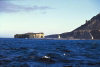 McDonald Island: Flat Island, the plateau at the left is now joined to the main island (photo by Francis Lynch)