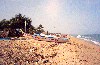 India - Pondicherry: fishing boats on the Coromandel coast (photo by Miguel Torres)