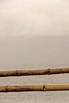 Indonesia - West Sumatra: Lake Maninjau - drops of water on bamboo - mist - photo by P.Jolivet