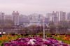 North Korea / DPRK - Pyongyang: west bank - party foundation monument (photo by M.Torres)