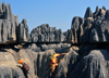 Tsingy de Bemaraha National Park, Mahajanga province, Madagascar: ropes and climbing equipment are essential, it is a strenuous visit - karst limestone formation - UNESCO World Heritage Site - photo by M.Torres