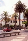 ilha do Porto Santo - Vila Baleira: under the palm trees - debaixo das palmeiras (image by Miguel Torres)