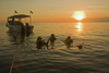 Pulau Mabul, Sabah, Borneo, Malaysia: divers descending during sunset - photo by S.Egeberg