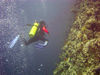 Maldives Underwater Diver, bubbles, wall (photo by B.Cain)