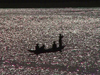 Mali - River Niger - Tombouctou region: canoe on a silver horizon - photo by A.Slobodianik