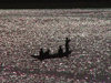 Mali - River Niger - Tombouctou region: canoe on a silver horizon - photo by A.Slobodianik