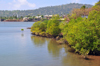 Dzaoudzi, Petite-Terre, Mayotte: mangroves - Vasire des Badamiers mangal - photo by M.Torres