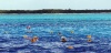 Mexico - isla Cozumel - Riviera Maya (Quintana Roo): snorkeling along Columbia reef  (photo by G.Frysinger)