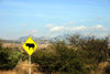 Mexico - The high desert (Guanajuato): bull crossing - traffic sign (photo by R.Ziff)