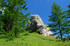 Khvsgl lake / Nuur, Khvsgl province, Mongolia: large rock, in the mountains surrounding the lake - photo by A.Ferrari