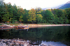 Montenegro - Biogradska Gora national park - Lake Biogradska - Kolain municipality - photo by D.Forman