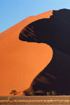 Namib Desert - Sossusvlei, Hardap region, Namibia, Africa: S shaped sand duneat sunrise - photo by B.Cain