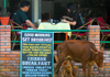 Pokhara, Nepal: milk for breakfast - cow and her calf in a front of a restaurant - photo by E.Petitalot