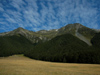 67 New Zealand - South Island - Ahuriri Valley - forest - Otago region (photo by M.Samper)