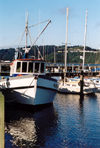 98 New Zealand - North Island - Wellington - fishing boat - photo by Miguel Torres